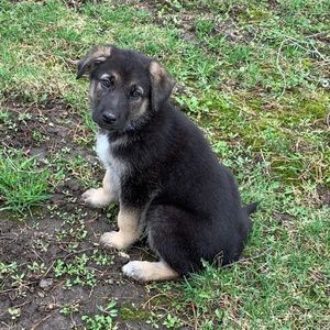 Meet your Posher, Nina